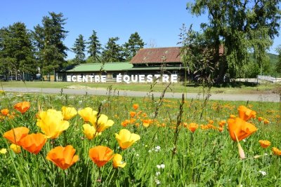 Centre équestre Ile de loisirs du Val de Seine