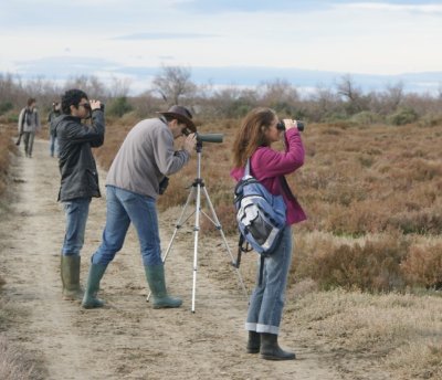 ARLES - Au cœur des marais du Verdier