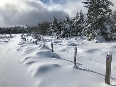 COL DE LA BARAQUE DES BOUVIERS