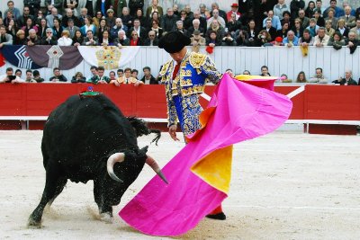 ARLES - Le chemin des taureaux à vélo