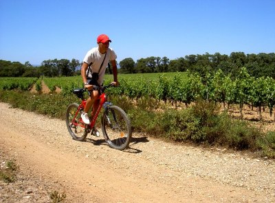 Circuit VAE : Vignes suspendues