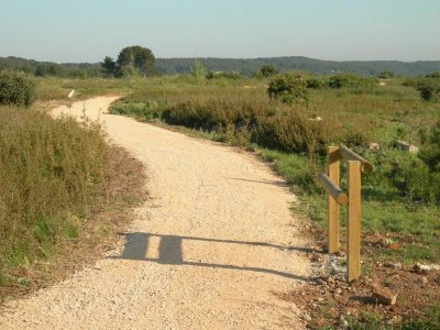 Forêt domaniale de Castillon
