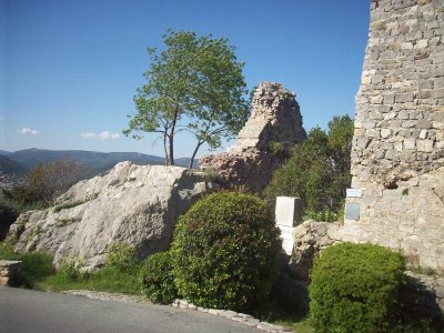 Ruines du château des Forbin