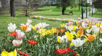 Parc de l’Hôtel de Ville - parc Gouraud