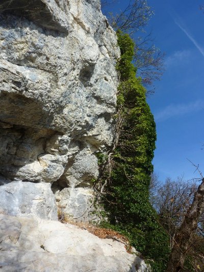 Site d'escalade du Bois des Vouillants - Chez Roger et chez Yvette