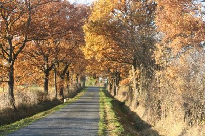 Circuit Les communaux de Coursage