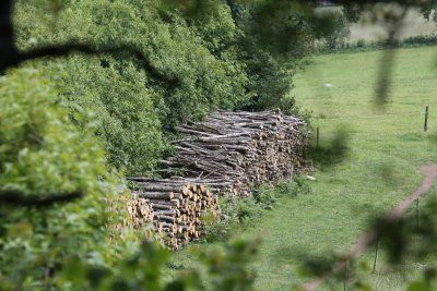 Circuit Les Châtaigniers