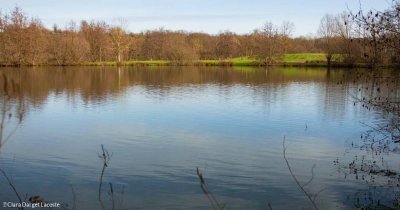 Etangs des Prés Gaudet