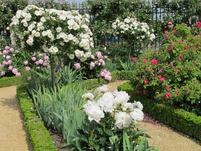 Jardin des Roses du Château de Compiègne