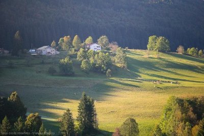 Lapidaire Courbe-Michollet