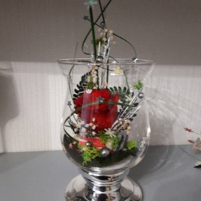 Les bulles brionnaises