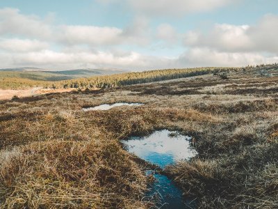 LE MONT LOZÈRE