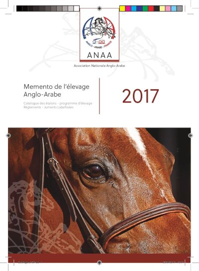 Ecurie d'Art Equestre des Lanciers