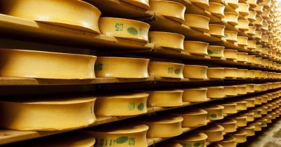 Espace ludo-éducatif de la Fromagerie Coopérative de la Vallée des Arves