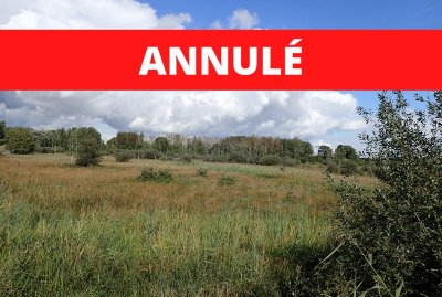 Entre bois et marais