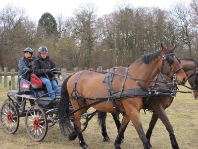 Chantilly Attelage