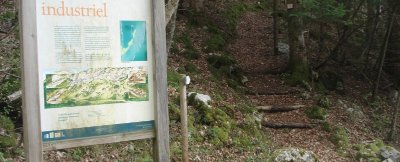 Le sentier de la meulière des Dauphins