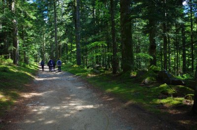 Sentier d'interprétation des Bois Noirs