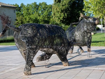 Bouches-du-Rhône en Paysages : Plan d'Orgon, un carrefour d'autrefois