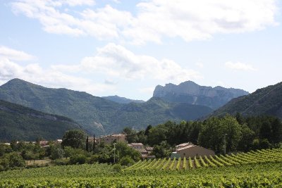 Exposition minéraux et fossiles