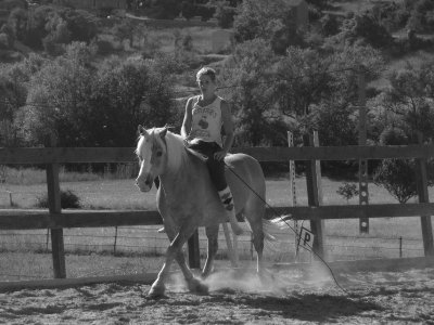 Les Écuries du Lou Blanc