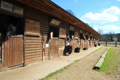 Les Ecuries de l'Epi