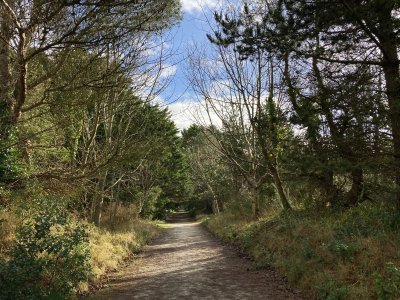 Forêt Domaniale du Dossen