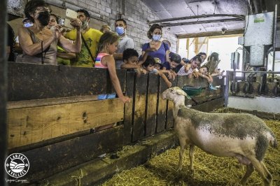 Ferme Découverte de Castelnau