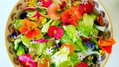 Les jardins de l'instant végétal : cueillette de fleurs sauvages