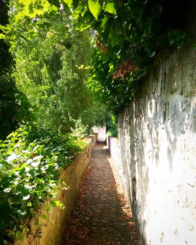 Fortifications médiévales