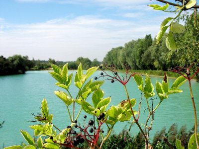 Etang Sainte-Barbe