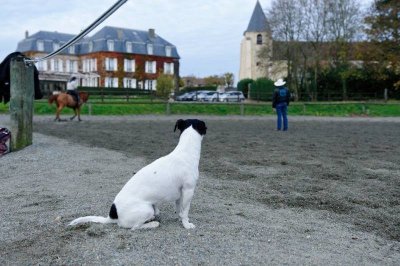 Centre équestre la Catounière