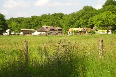 Haras du Petit Paris