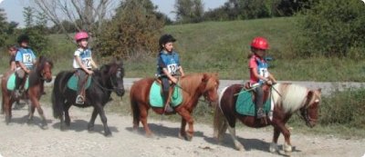 Centre équestre de Vienne Le Couzon