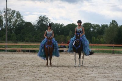 Haras du Brin d'Amour