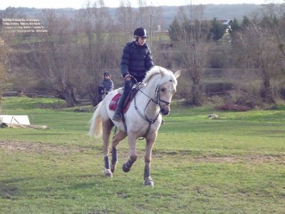 Les écuries de Saint-Arnoult