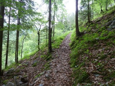 Sentier découverte du vallon de Bellevaux