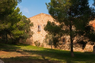 LE MASSIF FORESTIER DE MONTPINS