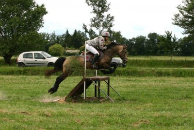 Centre équestre Les Poneys de Chastellus