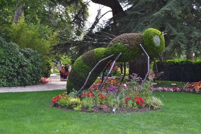 Jardin des Plantes
