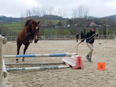 Les Écuries du Lac Bleu