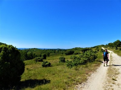 Abbaye de Saint-Michel de Frigolet