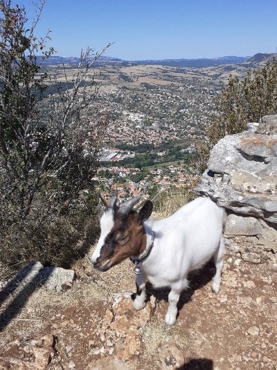Mini Ferme Découverte de La Salette