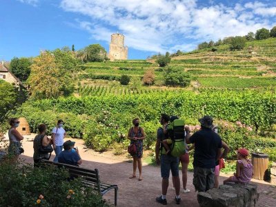 Circuit cyclo - Entre Vignes et Forêts