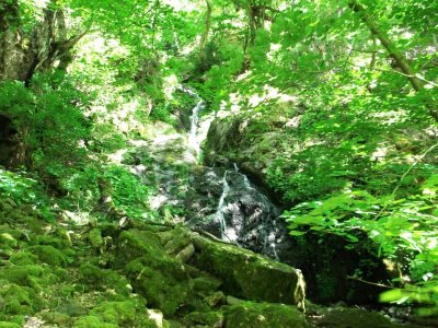 La cascade du Siehlbaechle