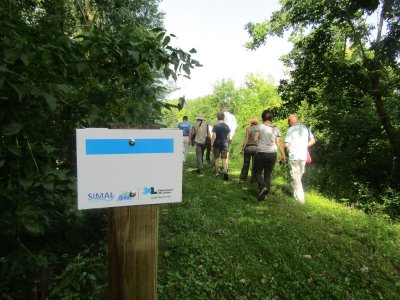 Les barthes de l'Adour