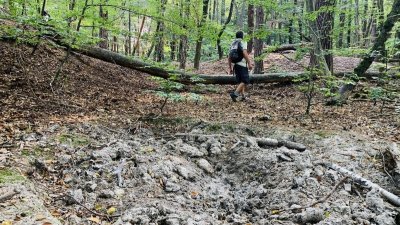 Circuit Alsace à vélo - Boucle transfrontalière « Parc Rhénan »