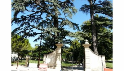 Parc de la Cantonne