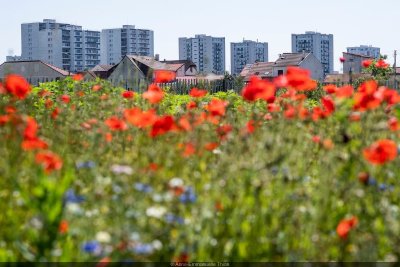 Ferme urbaine - Zone Sensible