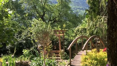 Le « Jardin d’Amira », un petit paradis de biodiversité